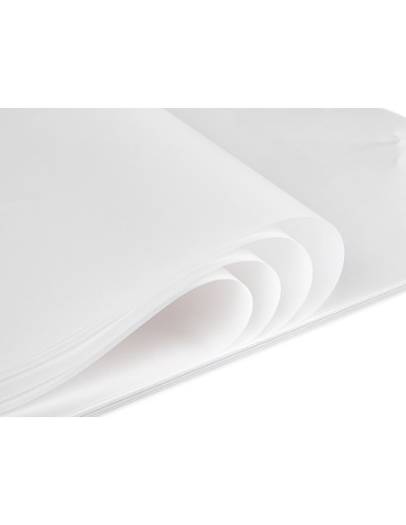 Papel dibujo liderpapel 50x65cm 70g/m2 vegetal