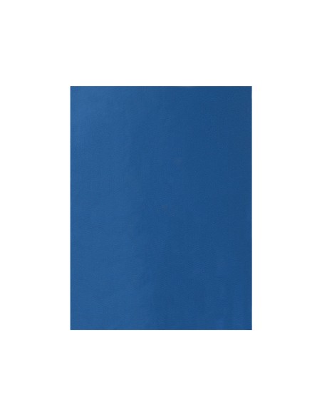 Fieltro liderpapel 50x70cm azul claro 160g/m2