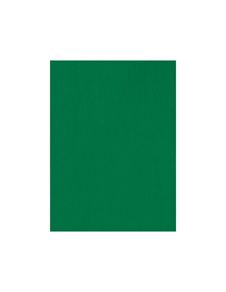 Fieltro liderpapel 50x70cm verde 160g/m2