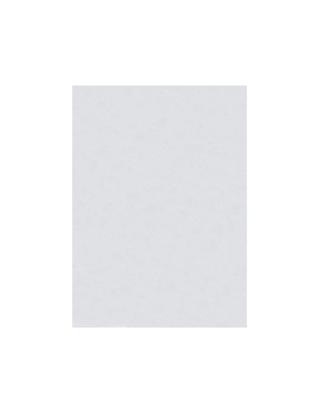 Fieltro liderpapel 50x70cm blanco 160g/m2