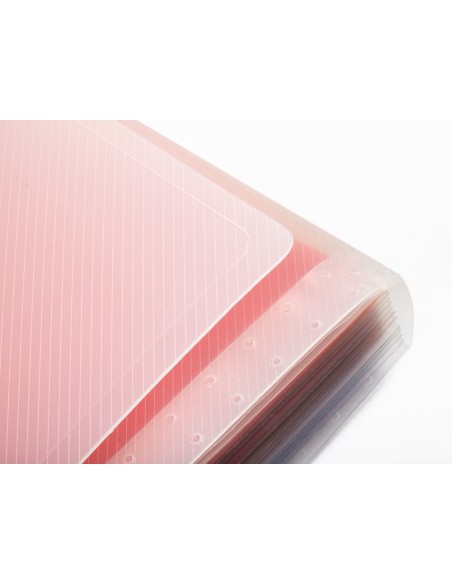Carpeta liderpapel clasificador fuelle polipropileno din a5 spectrafile