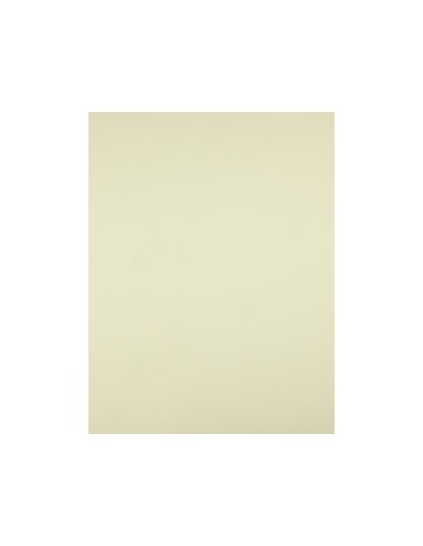 Cartulina liderpapel 50x65 cm 240g/m2 amarillo