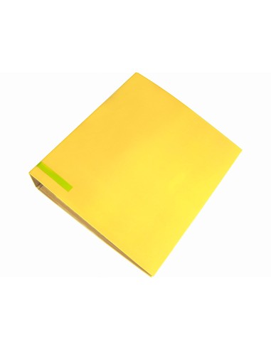 Archivador de palanca liderpapel a4 color...