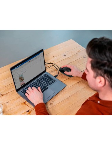 Raton q-connect optico 800 dpi usb 1,5 ghz...