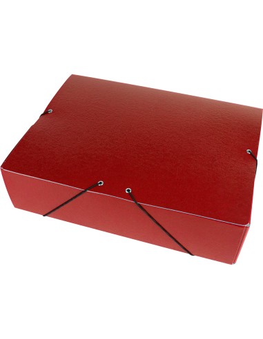 Carpeta proyectos liderpapel folio lomo 90mm...