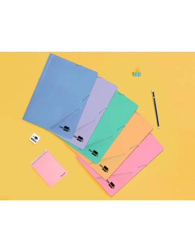 Carpeta liderpapel gomas folio 3 solapas carton...