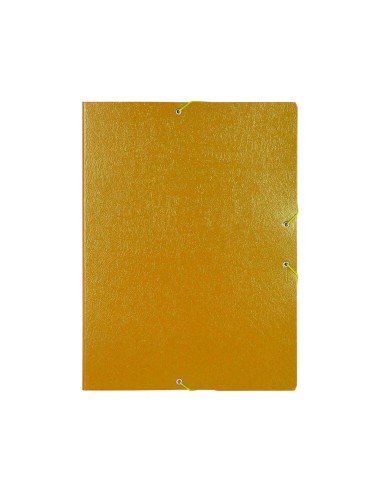 Carpeta proyectos liderpapel folio lomo 50mm...