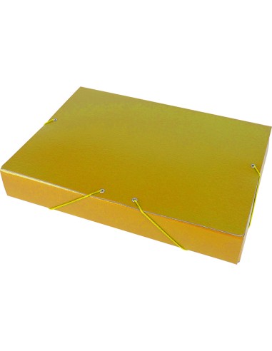 Carpeta proyectos liderpapel folio lomo 50mm...