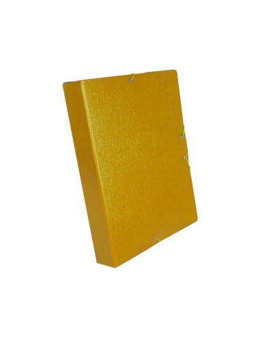 Carpeta proyectos liderpapel folio lomo 50mm...