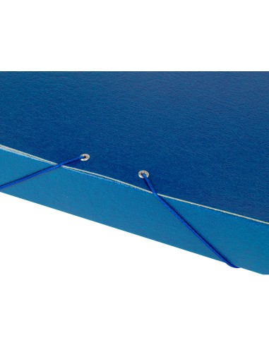 Carpeta proyectos liderpapel folio lomo 50mm...