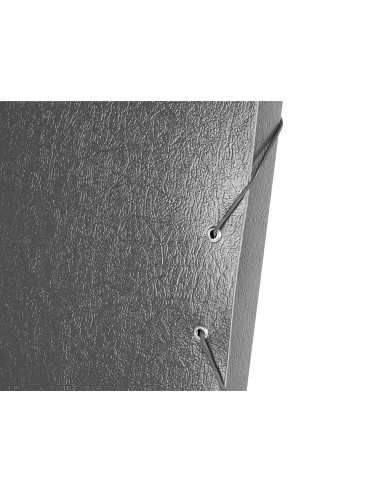 Carpeta proyectos liderpapel folio lomo 30mm...