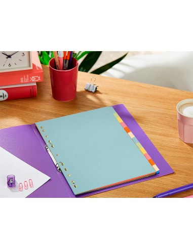 Separador q-connect cartulina juego de 12...