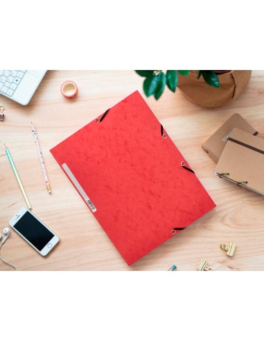 Carpeta q-connect gomas kf02174 carton...