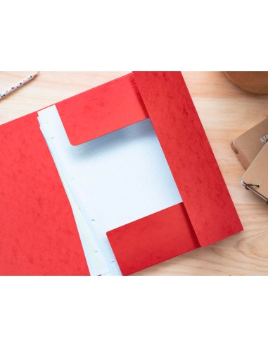 Carpeta q-connect gomas kf02174 carton...