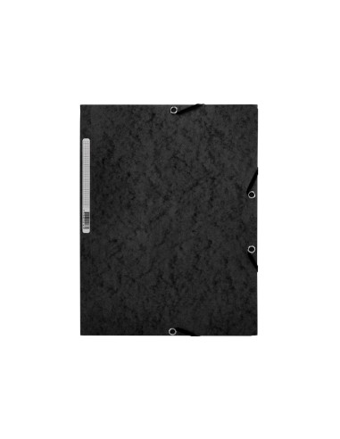 Carpeta q-connect gomas kf02169 carton...