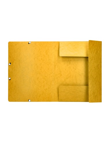 Carpeta q-connect gomas kf02166 carton...