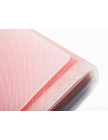 Carpeta liderpapel clasificador fuelle 42159...