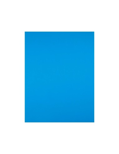 Cartulina liderpapel 50x65 cm 180g/m2 azul...