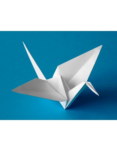 Cartulina liderpapel 50x65 cm 180g/m2 blanco