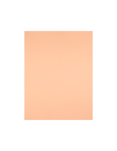 Cartulina liderpapel 50x65 cm 180g/m2 sepia