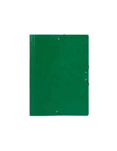 Carpeta planos liderpapel a2 carton gofrado n...