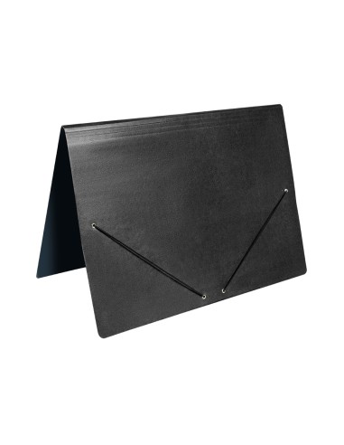Carpeta planos liderpapel a2 carton gofrado n...