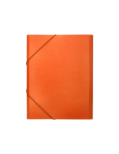 Carpeta clasificadora liderpapel 12...