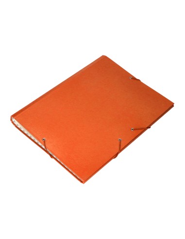 Carpeta clasificadora liderpapel 12...