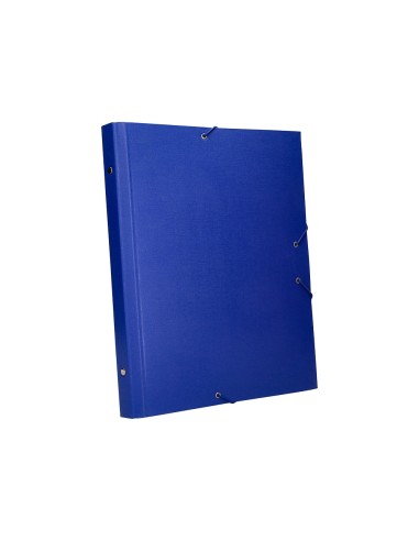 Carpeta clasificadora liderpapel 12...