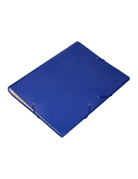 Carpeta clasificadora liderpapel 12 departamentos folio prolongado carton forrado azul