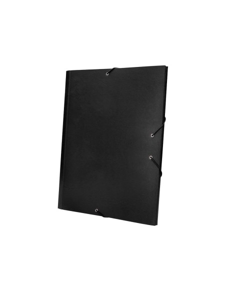 Carpeta clasificadora liderpapel 12 departamentos folio prolongado carton forrado negra