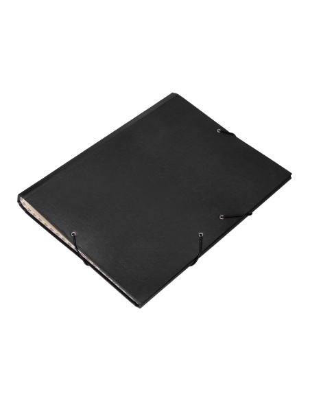 Carpeta clasificadora liderpapel 12 departamentos folio prolongado carton forrado negra