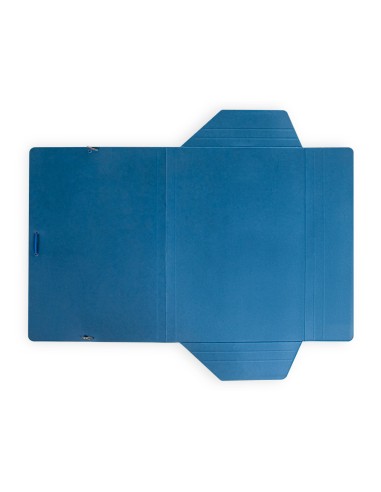 Carpeta liderpapel gomas folio 3 solapas carton...