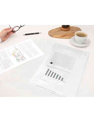 Carpeta liderpapel dossier broche 34044...