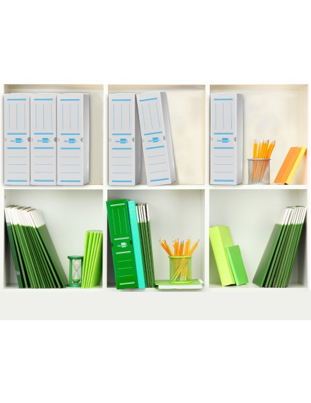Caja archivo definitivo plastico liderpapel lomo 100 mm blanco 360x100x260 mm