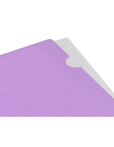 Carpeta liderpapel dossier uñero polipropileno...
