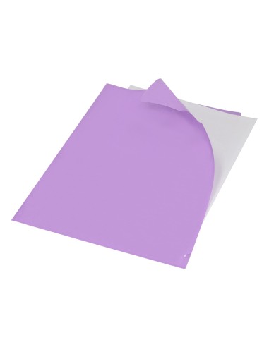 Carpeta liderpapel dossier uñero polipropileno...