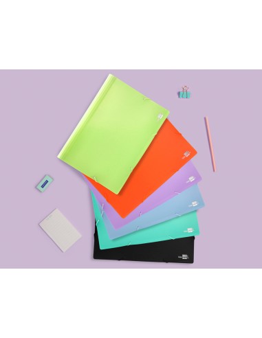 Carpeta liderpapel clasificador fuelle...