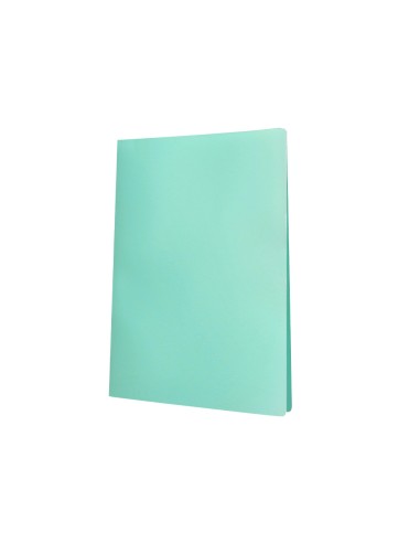 Carpeta liderpapel escaparate 30 fundas...