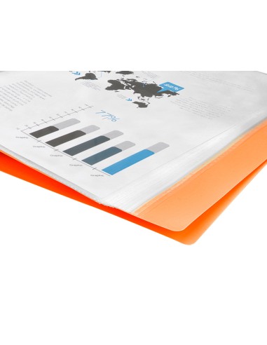 Carpeta liderpapel escaparate 10 fundas...