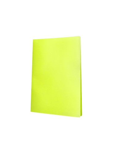 Carpeta liderpapel escaparate 10 fundas...