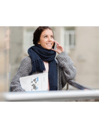 Carpeta liderpapel escaparate con espiral 10...