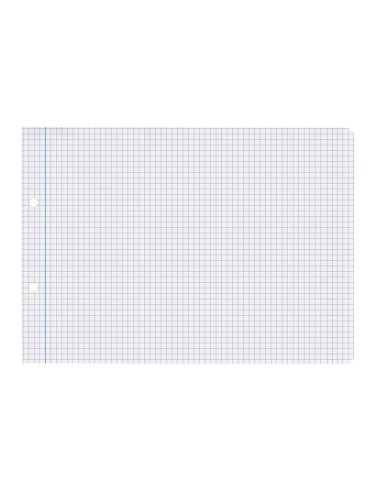 Recambio liderpapel cuarto apaisado 100 hojas...