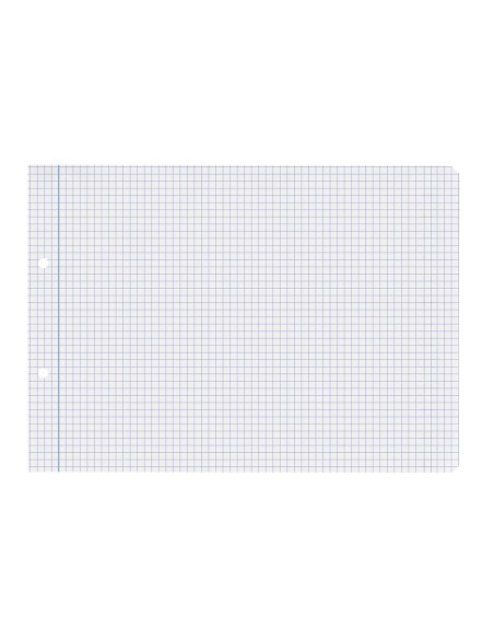 Recambio liderpapel cuarto apaisado 100 hojas 60gr cuadro 4 mm 2 taladros con margen
