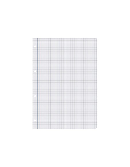 Recambio liderpapel a4 100 hojas 60g/m2 cuadro 6 mm 4 taladros con margen