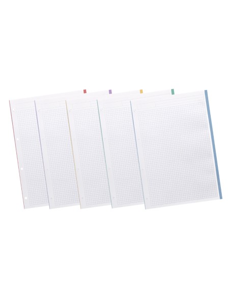 Recambio liderpapel a4 200+50 hojas 90gr cuadro 5mm 4 taladros bandas de 5 colores