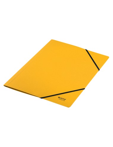 Carpeta leitz recycle gomas din a4 carton...