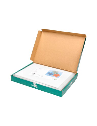 Cartulina liderpapel a4 180g/m2 blanco paquete...