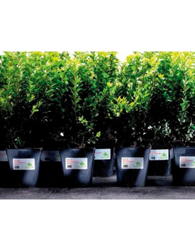 Etiqueta adhesiva resistente avery poliester...