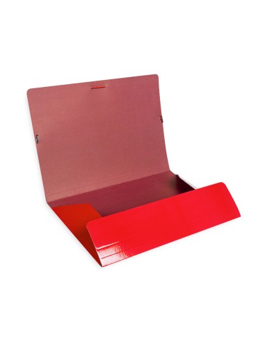Carpeta liderpapel gomas folio 3 solapas carton...
